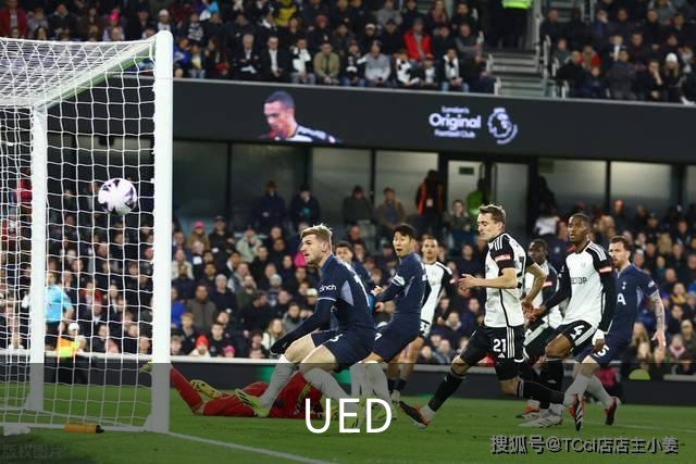 UED公司介绍